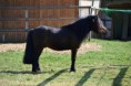 /album/timo/a2012-04-02-27-timo-jpg/